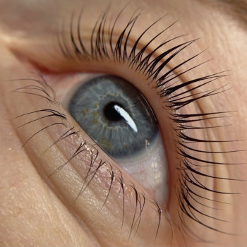 Ламинирование ресниц
                    Лешмейкер Виктория Киев