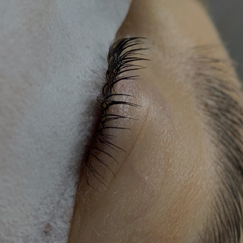 Ламінування вій
                    Бровіст Зоряна Тернопіль