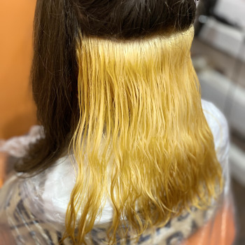 Скрытое окрашивание
                    Парикмахер Ирина Харьков