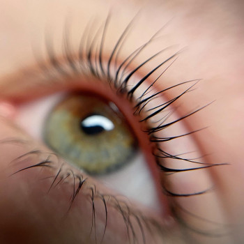 Ламинирование бровей
                    Бровист Жанна Харьков