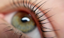 Ламинирование бровей Бровіст Жанна Харків