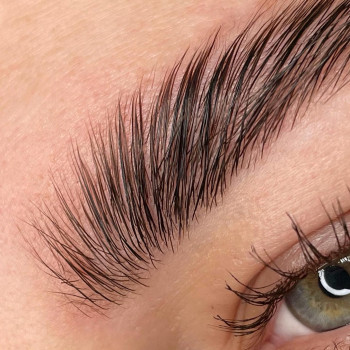 Ламинирование бровей
                    Бровист Жанна Харьков