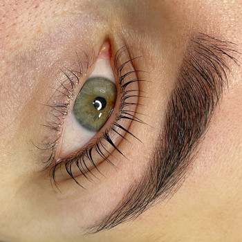 Ламинирование бровей
                    Бровист Жанна Харьков