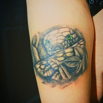 Алексей Полянцев, Киев Фото - 36