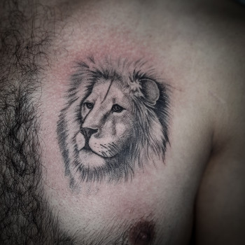 Анастасия Титарчук, Житомир Фото - 42