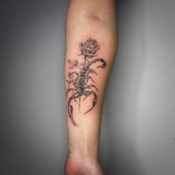 Тату скорпион тату, фото - Тату мастер Таня Белкина