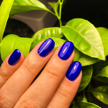 Персона, Кривий Ріг Фото - 92