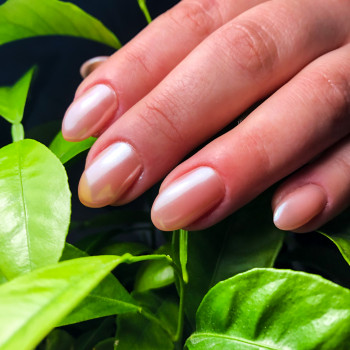 Персона, Кривий Ріг Фото - 93