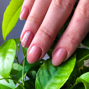 Персона, Кривий Ріг Фото - 94