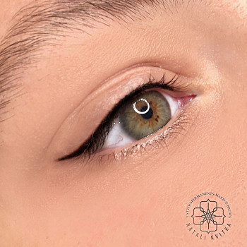 Стрілка класична