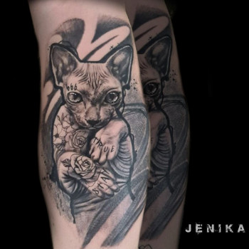 на руке, кошка, black&grey, сфинкс