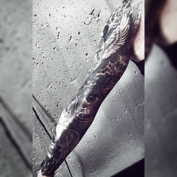 Єлєна Єгорова, Київ Фото - 12