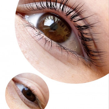 Konchinska, Киев Фото - 9