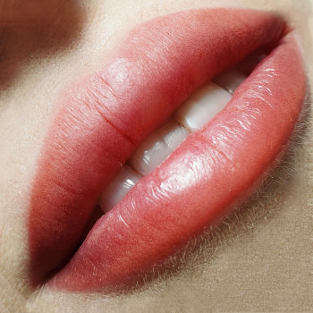 Нюдовые губки. В заживлении будет хорошо просматриваться утр