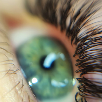 Любовь Корницкая, Одесса Фото - 11