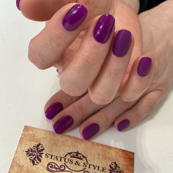 Манікюр з гель-лаком
                    Салон красоты Status & Style Киев