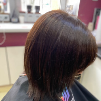 Складне або однотонне фарбування/висвітлення волосся/фарбування сивини
                    Салон красоты Blackberry Киев