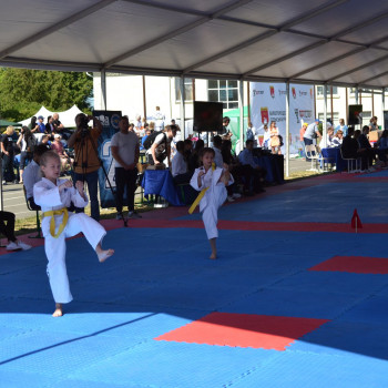 Грифон, Борисполь Фото - 5