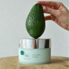Cream Avocado Holy Land