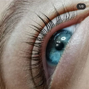 Ламінування вій
                    Салон красоты Status & Style Киев