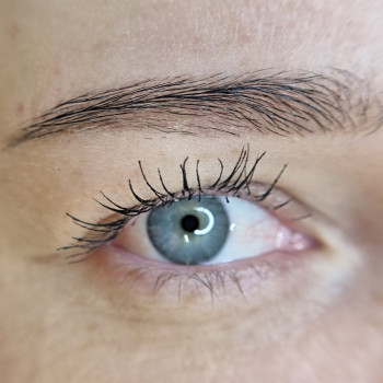 Пудрове напилення брів через рік