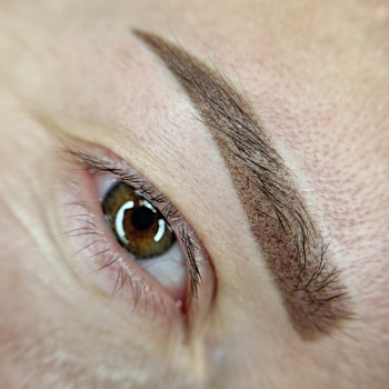 Пудрове напилення брів