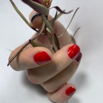 Mudrakova Studio Arts, Черкассы Фото - 7