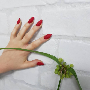 Mudrakova Studio Arts, Черкассы Фото - 11