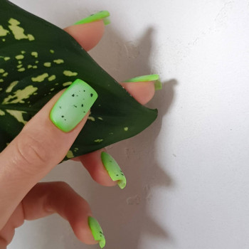 Mudrakova Studio Arts, Черкассы Фото - 24