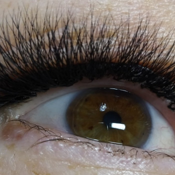 Наращивание ресниц
                    Мастер маникюра Алёна Фастов