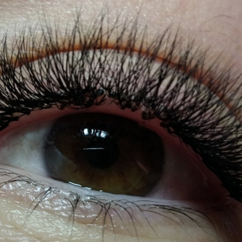 Наращивание ресниц
                    Мастер маникюра Алёна Фастов