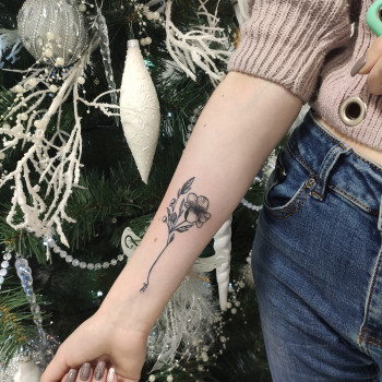 Вікторія , Тернопіль Фото - 10