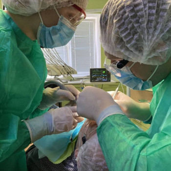 Gallant, Городище Фото - 5