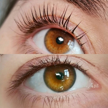 Ламинирование ресниц
                    Лешмейкер Алина Тернополь