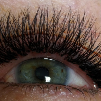 Наращивание ресниц
                    Мастер маникюра Алёна Фастов