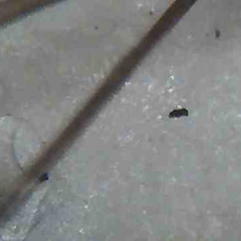 Детокс/Пілінг шкіри голови
                    Салон краси Vakaruk Keratin Studio Київ