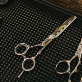 Steel Balls, Житомир Фото - 21