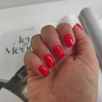 Юлія Шмига, Київ Фото - 12