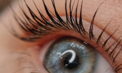 Ламінування вій Бровист Ольга Черновцы