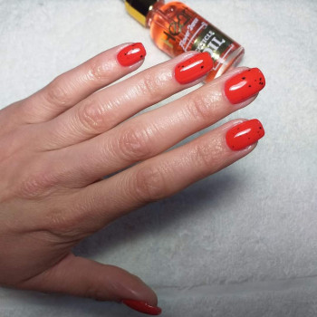 Олена Лихойда, Каменец-Подольский Фото - 30