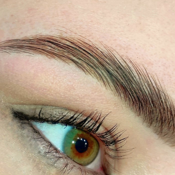 Моделирование бровей
                    Лешмейкер Анна Харьков