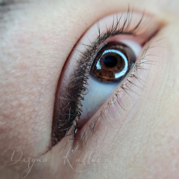 Татуаж век
                    Мастер перманентного макияжа Дарина Кривой Рог