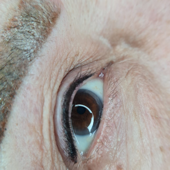 Татуаж век
                    Мастер перманентного макияжа Дарина Кривой Рог