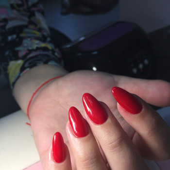 Ірина Ніколаєнко, Біла Церква Фото - 14