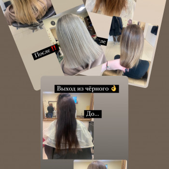 Окрашивание волос, Сложные техники
                    Салон красоты НоготОк Киев