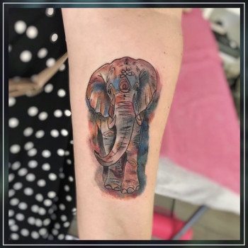 Butterfly, Чернівці Фото - 18