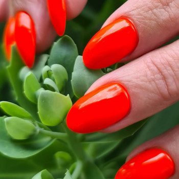 Наращивание ногтей с однотонным покрытием гель-лаком