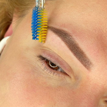 Пудрове напилення брів
                    Мастер перманентного макияжа Олександра Тернополь