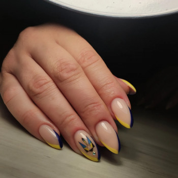 Французький манікюр патріотичний кольоровий, фото - Майстер манікюру Іванна Хіхлушко
