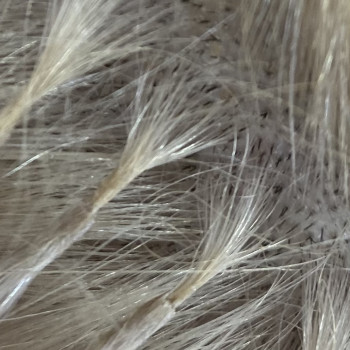 Корекція нарощених волос
                    Мастер перманентного макияжа Кристина Ивано-Франковск